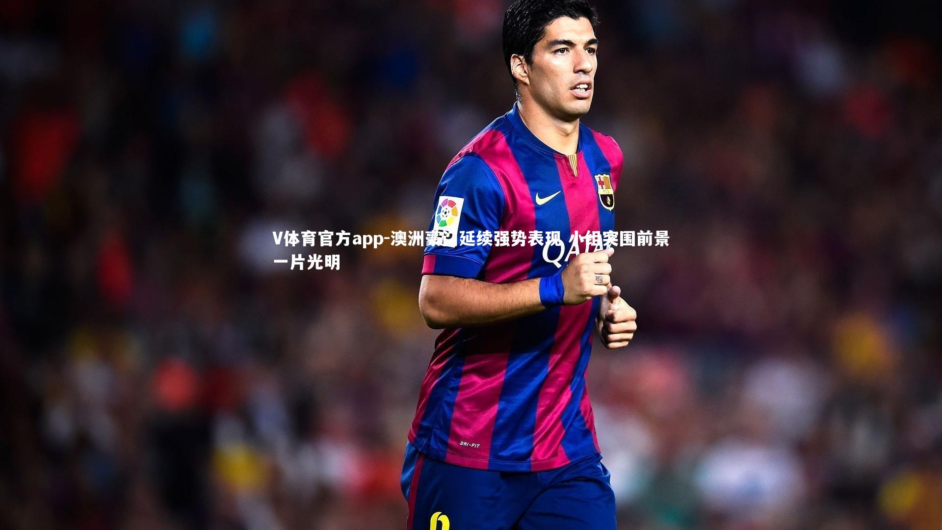 澳洲豪门延续强势表现 小组突围前景一片光明