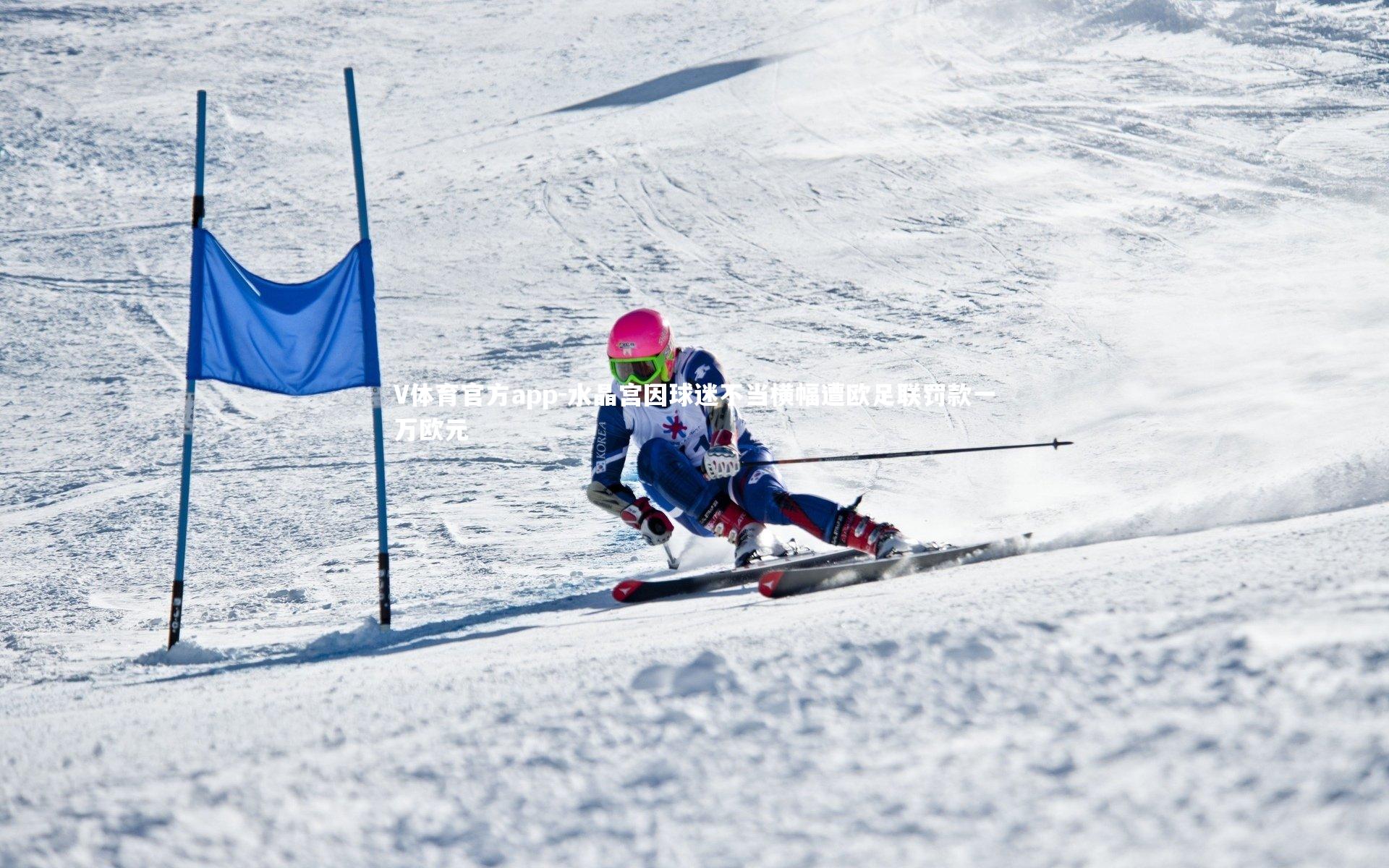 水晶宫因球迷不当横幅遭欧足联罚款一万欧元